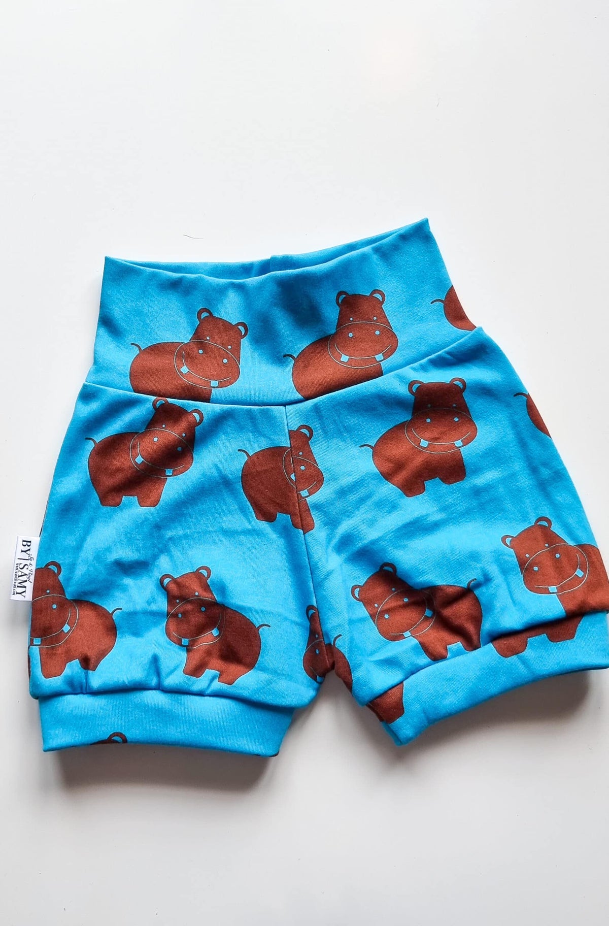 Shorts | Flodhest